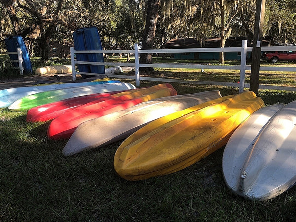 Kayak